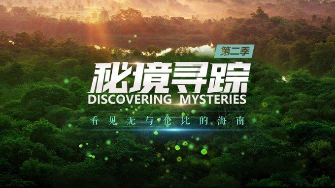 抖音领金币的圆圈怎么没有了？游戏画面
