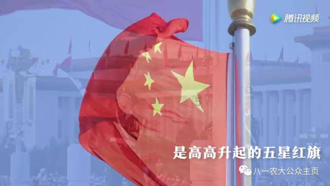 88影视